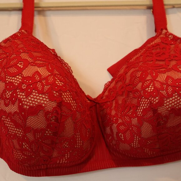 Red Lace Bra - Picture 2 of 5